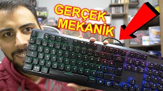 Kaliteli GERÇEK MEKANİK Türkçe Klavye! Oyun ve İş odaklı RGB Kailh Switch (VIGOR