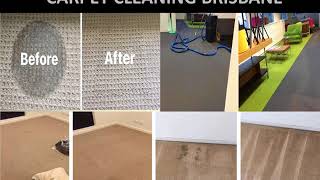 Carpet Stain Removal Service | Back 2 New Cleaning