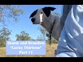 Skunk And Brandon Lucky Thirteen Part 11