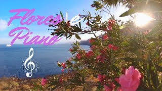 Sinta-se em paz, relaxe ouvindo piano.