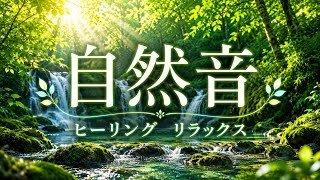 【自然音】森と滝の癒しサウンド｜ヒーリング・リラックスBGM｜睡眠・作業・瞑想用【Nature Sounds】Healing Forest & Waterfall Ambience 