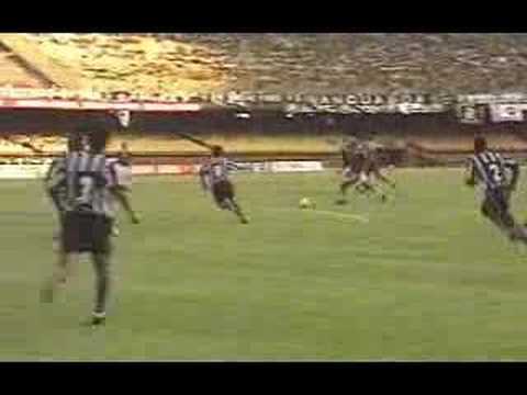 BOTAFOGO 4 x 1 fluminense - Carioca 1997