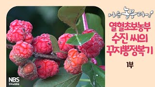 [나는농부다 221회 1부] 열혈초보농부 수진 씨의 꾸지뽕 정복기