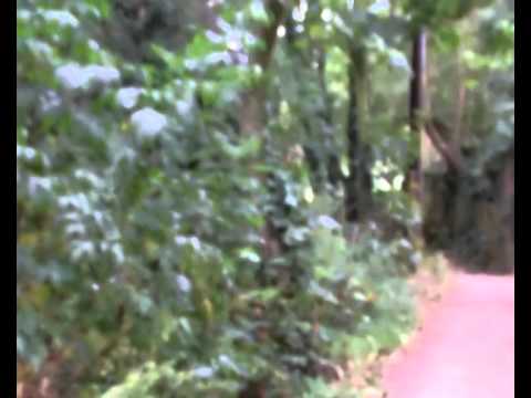 Zebadiah FT. Navsta - Hexagon Escape (Produced by DLS)