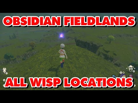 Obsidian Fieldlands Wisp Locations