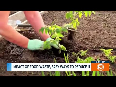 Impact of food waste, easy ways to reduce it