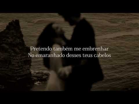 DISRITMIA - CASUARINA (LETRA)