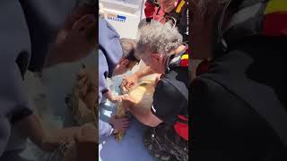 tartaruga-impigliata-nella-rete-rischia-di-morire-il-video-del-salvataggio