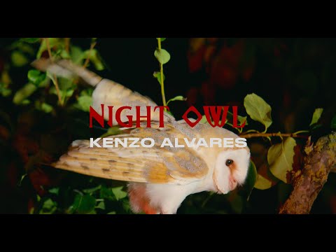Kenzo Alvares - NIGHT OWL (Official Music Video)