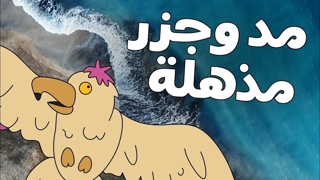 المد والجزر الرائع