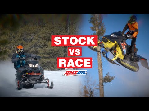 Stock Vs. Race Sleds - What's the difference?