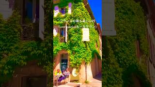 🇫🇷フランスの最も美しい村の一つ　#南フランス #フランス #プロヴァンス　#ルールマラン #ワイン