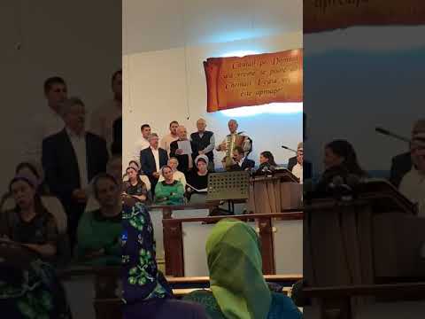 Fratii de la Sângeorz-băi