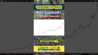 #株式投資#日本株#投資#資産運用#お金の勉強#投資初心者