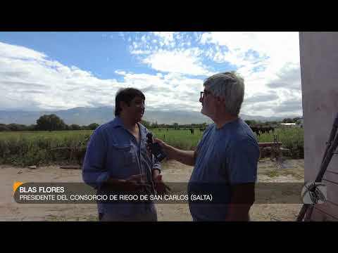 Blas Flores, presidente del Consorcio de Riego de San Carlos (Salta)