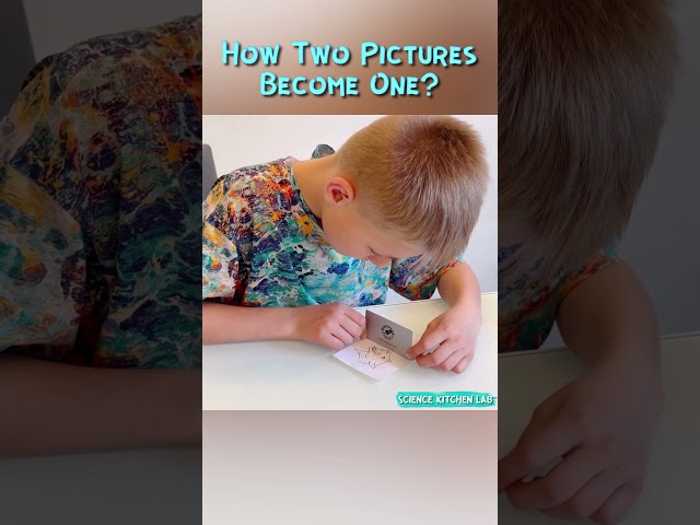 Vídeo relacionado con Fun Science Brain Tricks INT: Armarios de experimentación