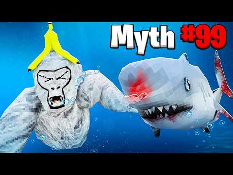 Busting Every Gorilla Tag Myth