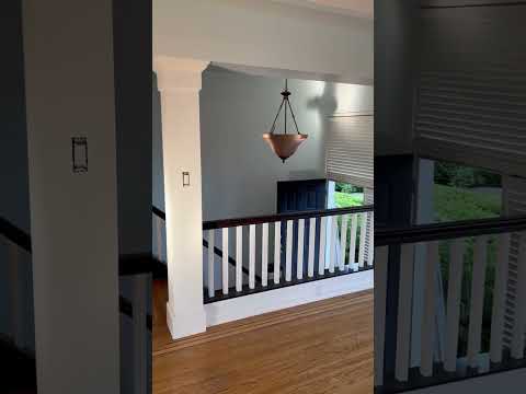 Frog clan painting group video.