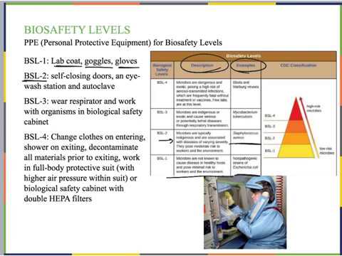 BIO 206 Chpt 13.1 Lecture
