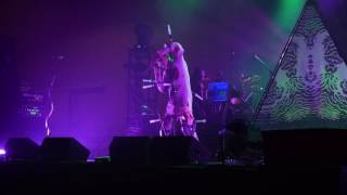 Skinny Puppy - Hardset Head