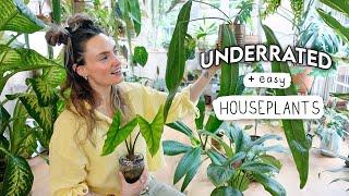 10 Easy + Underrated Indoor Plants 🌿