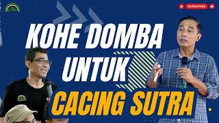 Download lagu BUDIDAYA CACING SUTRA DENGAN KOTORAN DOMBA #bayudiningrat #bayusehatmandiri #pertanian mp3