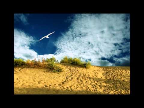 tanir    Мне Так Жаль