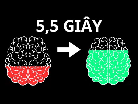 Sự Thay Đổi Kỳ Diệu Khi Bạn Thở Đúng Cách | Inner World Podcast