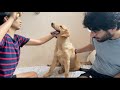 ITNI IJJAT HUME NAHI MILI Gaurav Kapoor Vlogs