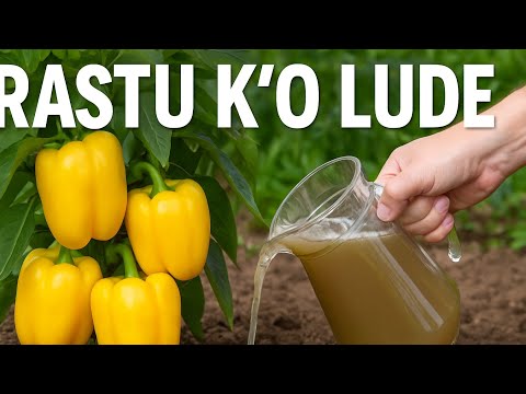 Peppers will go crazy for THIS natural solution - flowering and fruiting like never before!