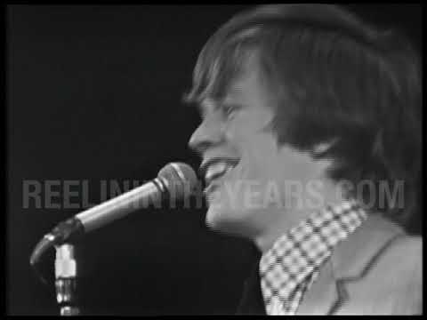 Herman’s Hermits • “A Must To Avoid/You Won’t Be Leaving” • LIVE 1966 [Reelin' In The Years Archive]