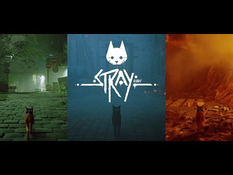 Stray Off Path Steam Community :: Video :: Off The Path | Stray Tribute