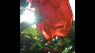 The Love Song (K-OS)- Instrumental