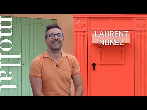 Laurent Nunez - Le mode avion