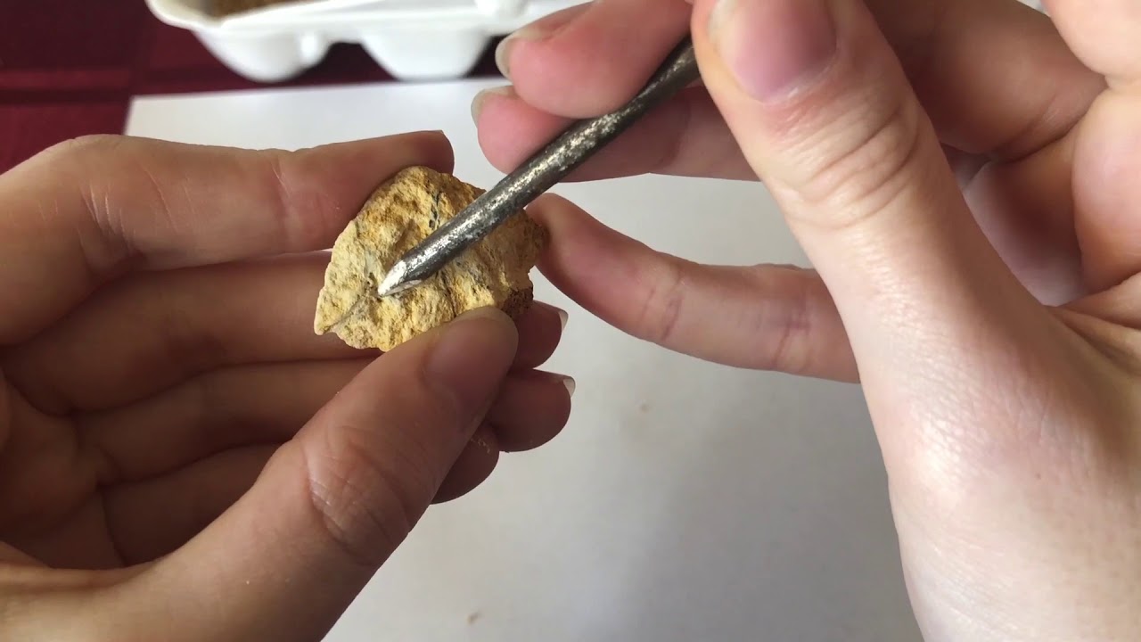 Rocks Have an Id - Lesson 13