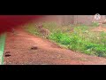 MAPENZI YA PUNDA YASHIKA MOTO
