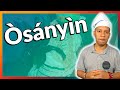 Ossaim Ossanhe Ọ̀sányìn Ossain O Orixá Das Folhas Ervas Plantas E Medicina