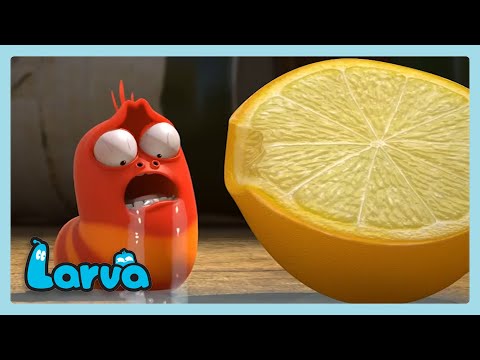 Citron | Larva | WildBrain Svenksa