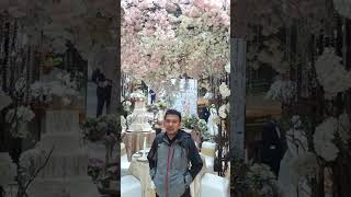 Download lagu Gado-Gado Cinta dan Rasa - Peamania Musik mp3