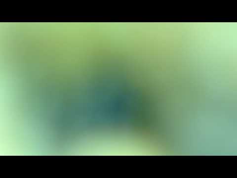 Counting Stars OneRepublic flute