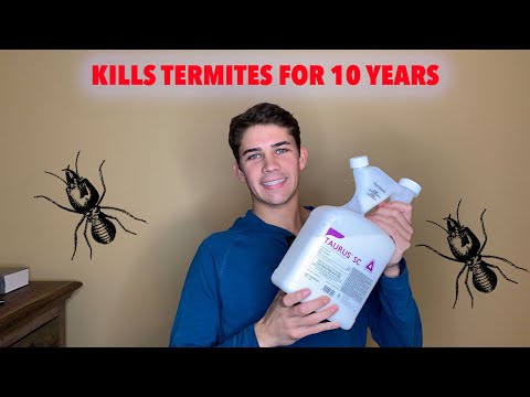 How to treat a concrete slab home for TERMITES - DIY termite treatment