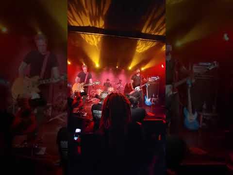 Dave Bats introduces BLACK ROSE BURNING