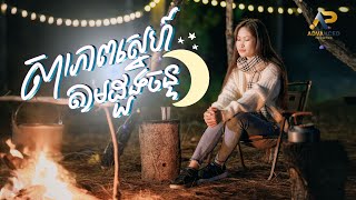 សារភាពស្នេហ៍តាមដួងចន្ទ | សេង ដានីន | Official Music Video