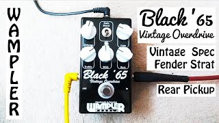 Video thumbnail for Wampler Black '65 Vintage Overdrive by Everything Guitar
