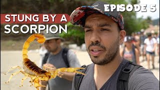 Stung by a Scorpion in Guatemala | EP 5