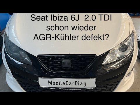 Seat Ibiza 2.0 TDI schon wieder       Agr-Kühler defekt?