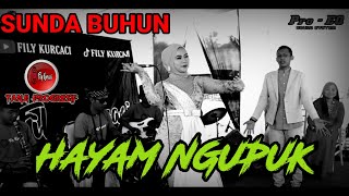 Download lagu LAGU BUHUN || INA SALSA - HAYAM NGUPUK versi TANJI PROGRESIF live sessions FILY KURCACI mp3 Download lagu LAGU BUHUN || INA SALSA - HAYAM NGUPUK versi TANJI PROGRESIF live sessions FILY KURCACI mp3
