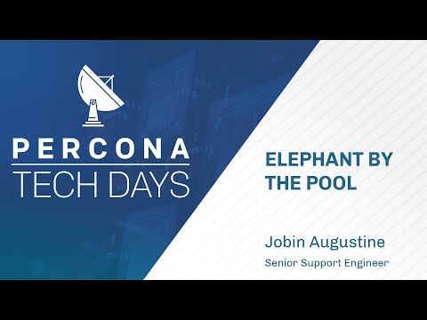 Elephant by the pool PostgreSQL connection poolers overview Percona Tech Days