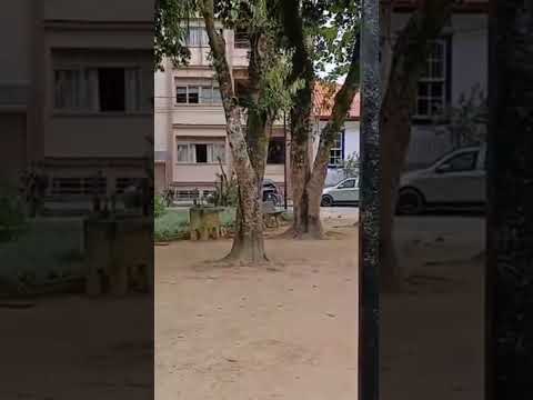Jardim de Rio Preto MG