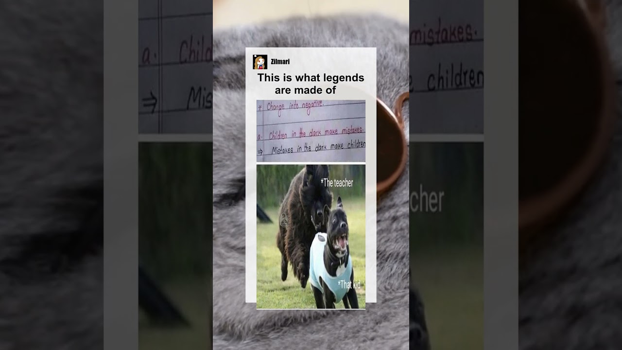 This is what legends are made of 😎 #memes #meme #memesdaily